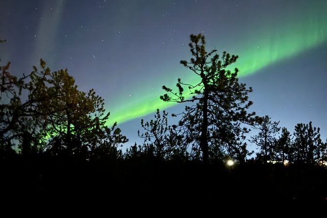 Yellowknife Aurora Hunting Tour - Key points that make this tour worth your time