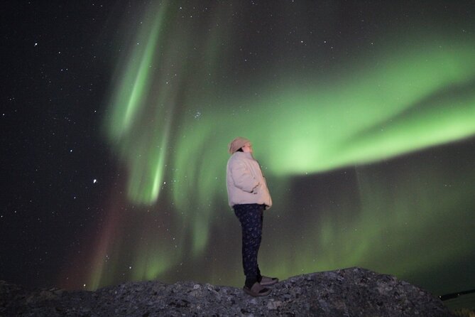 Yellowknife Aurora Hunting Tours by Bus - What You’re Really Paying for on a Yellowknife Aurora Bus Tour