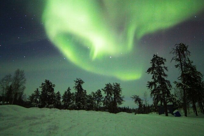 Yellowknife Aurora Hunting Tours by Bus - How the Best Guides Hunt the Sky When Forecasts Fail