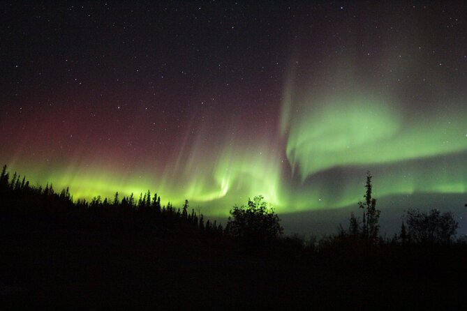 Yellowknife Aurora Hunting Tours by Bus - 9:00 pm Logistics, Pickup, and How the Night Feels