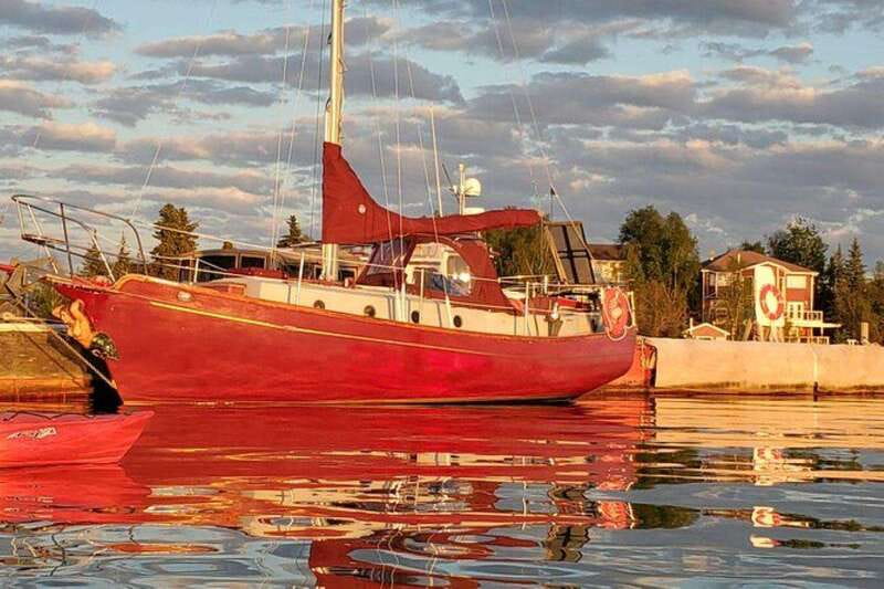 Yellowknife: City Tour - Nature’s North Wildlife Gallery: the Grolar or Pizzly moment