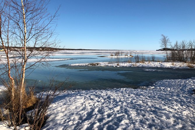 Yellowknife City Tour + Nature's North Wildlife Gallery - The Big Picture: What This Tour Adds to a Yellowknife Visit