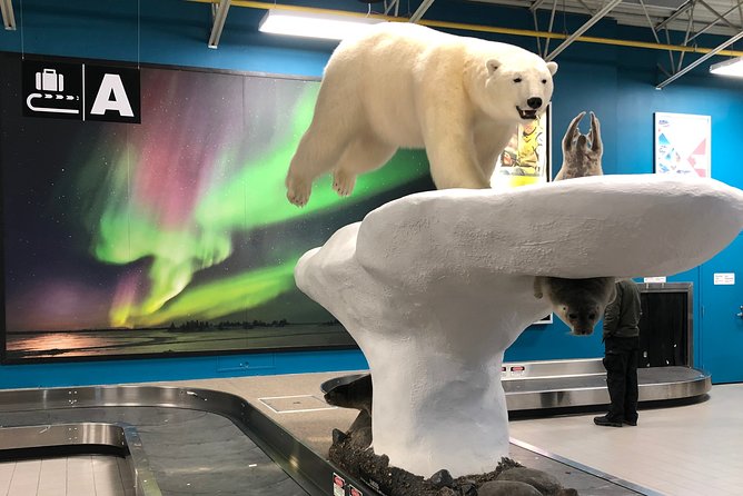 Yellowknife City Tour + Nature's North Wildlife Gallery - Stop 4: Bush Pilot’s Monument and the View from The Rock