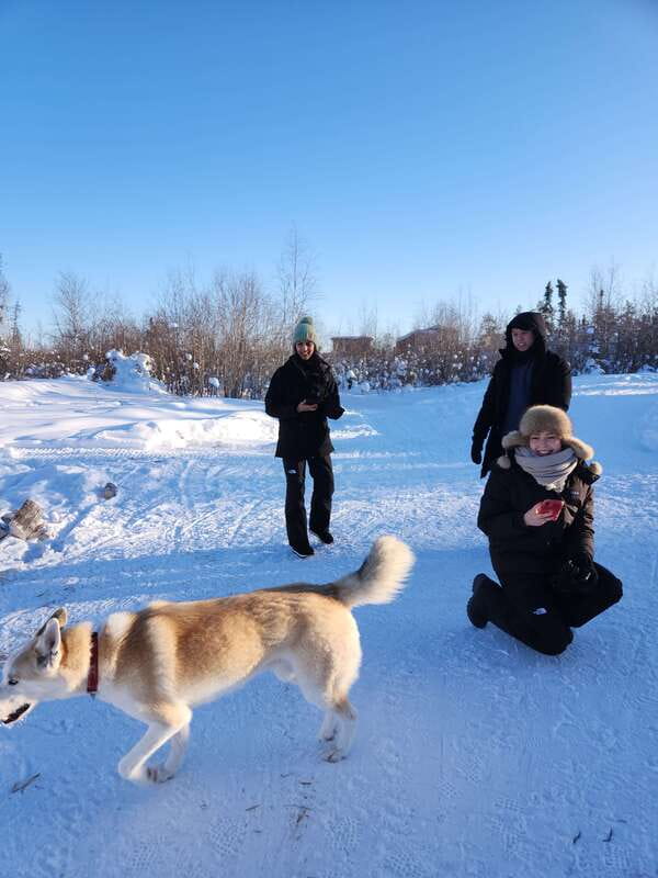 Yellowknife: Dog Sledding Tour - Safety briefing, equipment, and meeting your sled dog team