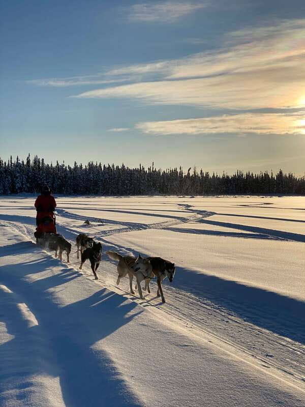 Yellowknife: Dog Sledding Tour - The sled ride itself: cold air, speed, and winter wonderland moments