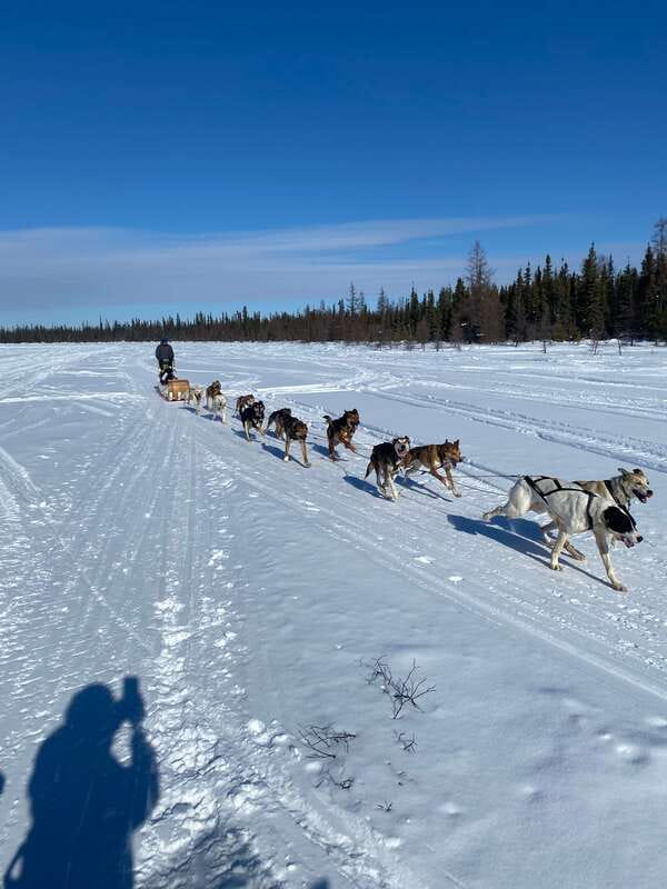 Yellowknife: Dog Sledding Tour - The warm cabin stop: bannock, tea, and the meaning behind dog sledding