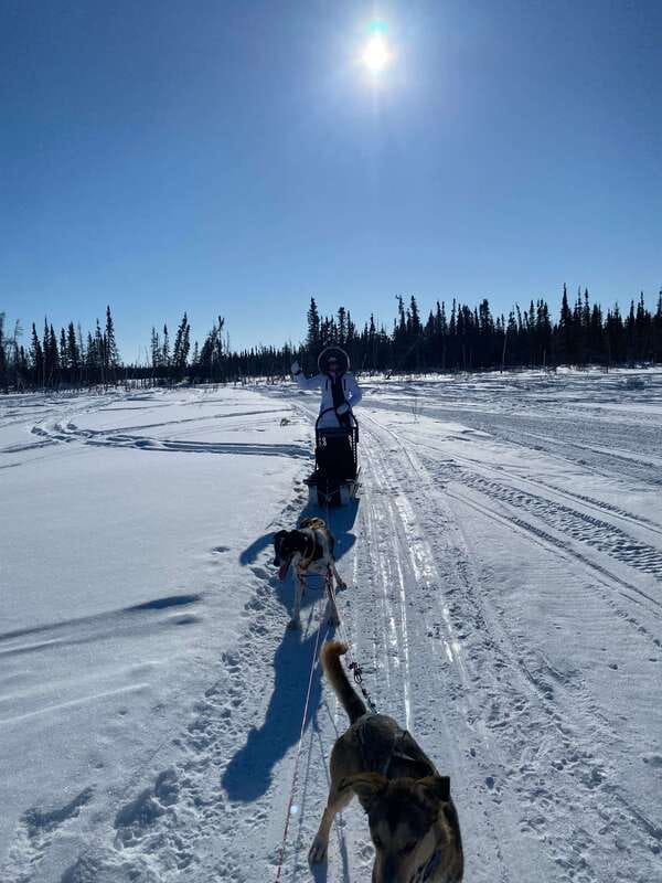 Yellowknife: Dog Sledding Tour - Practical tips to get the most out of your one-hour ride