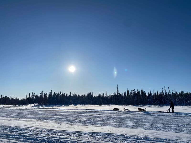Yellowknife: Dog Sledding Tour - Who this Yellowknife dog sledding tour fits best