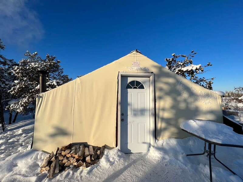 Yellowknife: Dog Sledding Tour - How to judge the value: thrilling ride plus real inclusions