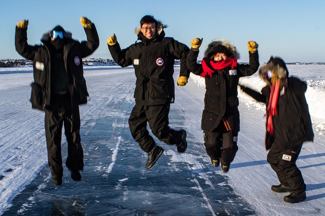 Yellowknife Sightseeing City Tour - Old town, new town, lakes, museums, dogs kennels, ravens, and trails