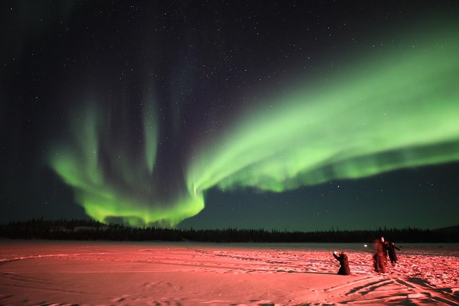 Yellowknife Tours - Aurora by bus - Key Highlights You Should Care About