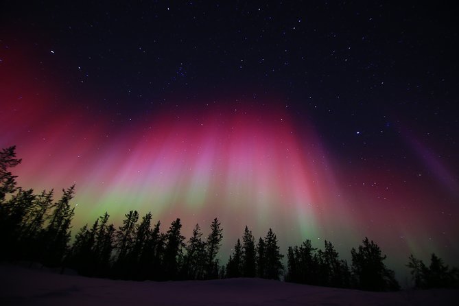 Yellowknife Tours - Aurora by bus - Guides You’ll Actually Feel During the Hunt