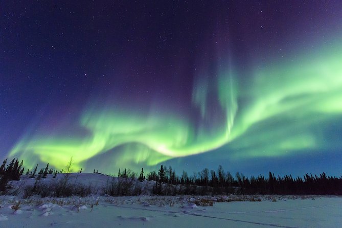 Yellowknife Tours - Aurora by bus - How Much Value Is $102.89 for About 4 Hours?