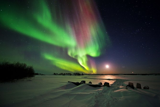 Yellowknife Tours - Aurora by bus - Who Should Book This Bus Tour (And Who Might Want to Choose Differently)