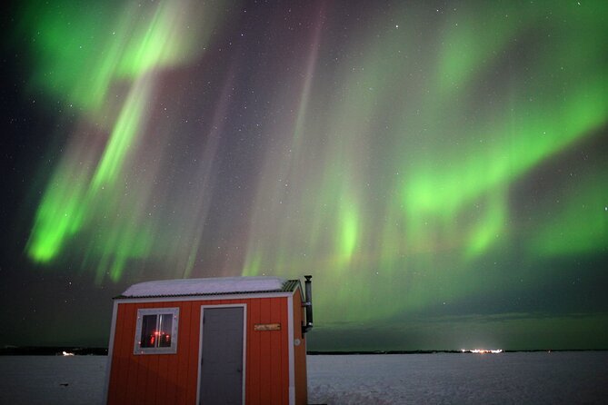 Yellowknife Winter 5 Days 4 Nights: Aurora and Day Activities - Day 1: Airport to hotel, then a combined aurora night