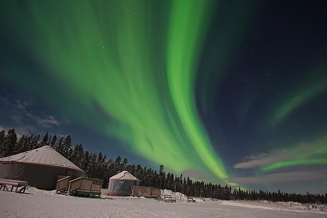Yukon Aurora Viewing Package | 4 days - Day 1 airport pickup and your first aurora shot