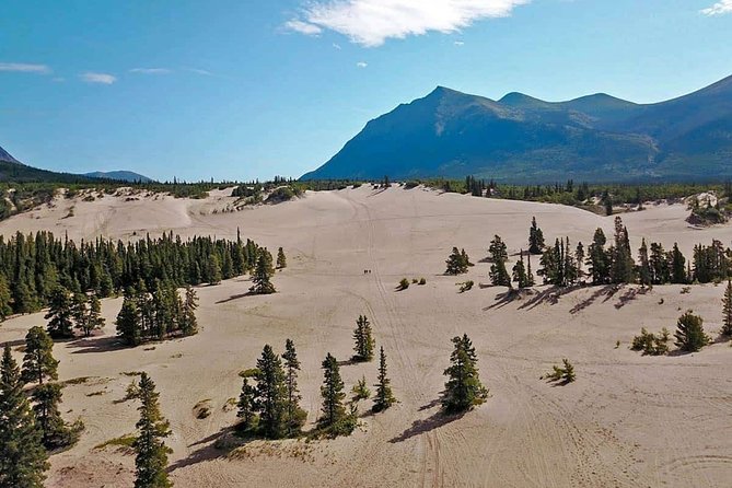 Yukon Gold Experience feat. Emerald Lake & Carcross - A smooth, scenic half-day with real Yukon variety