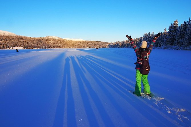 Yukon Snowshoeing Adventure | half day - Yukon Snowshoeing From Whitehorse: Calm Time, Real Winter Ground