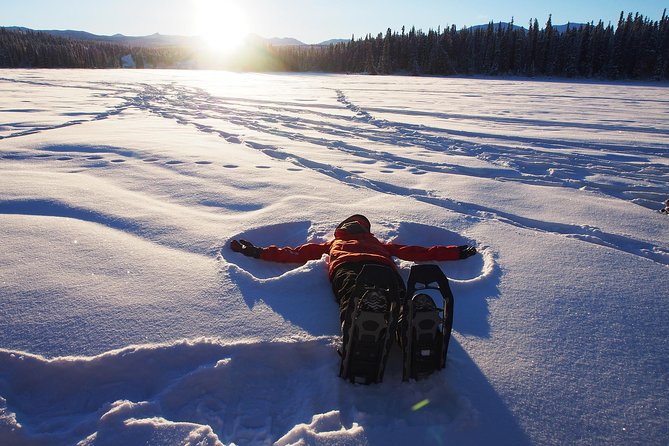 Yukon Snowshoeing Adventure | half day - Yukon Stories on the Trail: Gold-Miners, Trappers, and Fur Trade Context