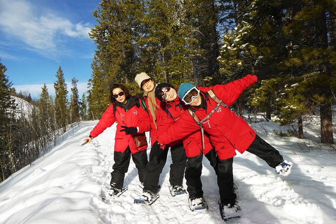 Yukon Snowshoeing Adventure | half day - The 3.5 Hour Plan: A Half-Day That Uses Winter Time Well