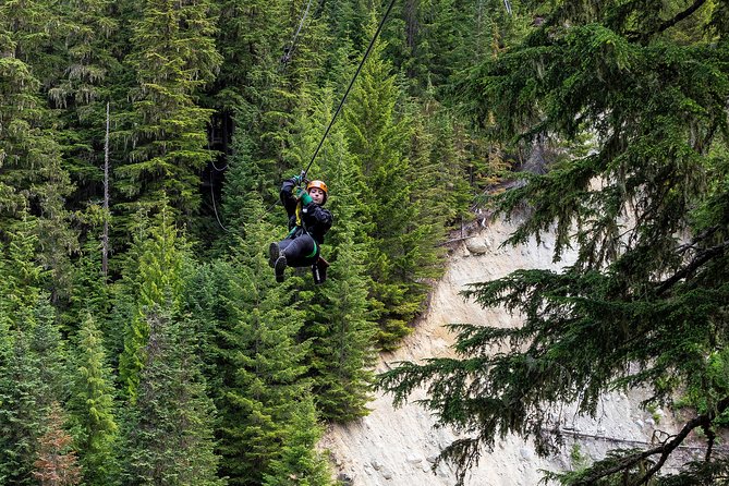 Zipline Adventure in Whistler - The forest parts you will actually remember