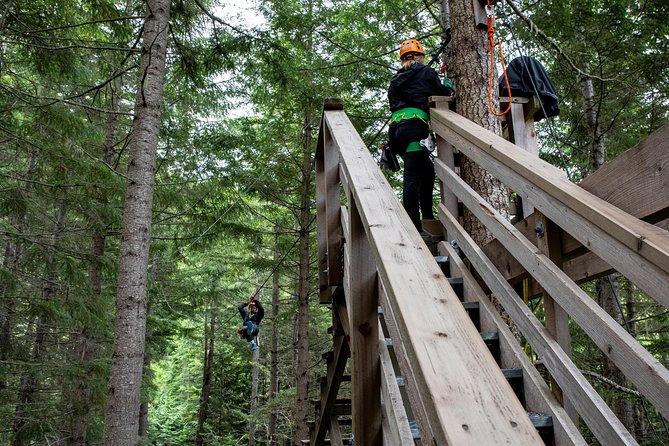 Zipline Adventure in Whistler - What makes the zip itself feel smooth