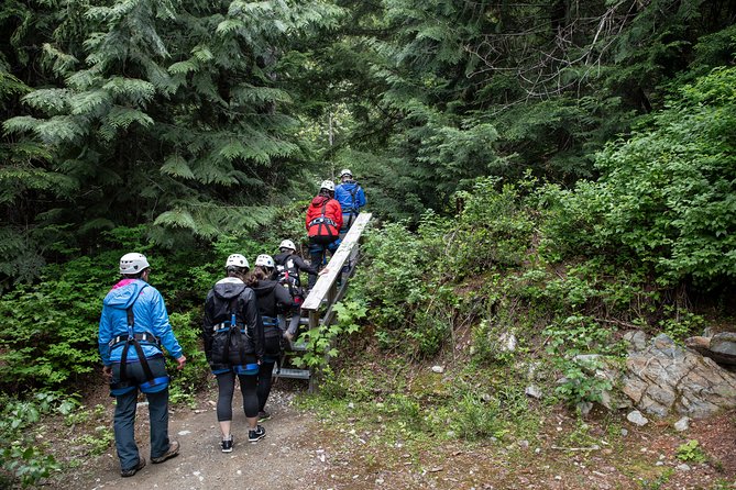 Zipline Adventure in Whistler - The 2.5-hour flow: what the day feels like hour by hour
