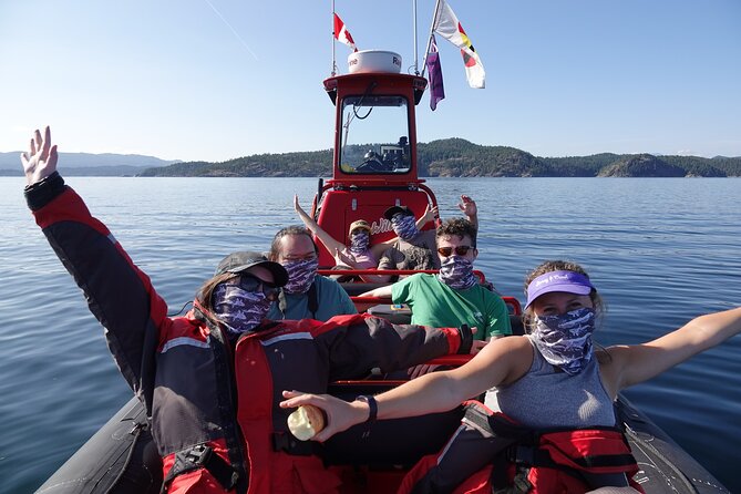 Zodiac Boat Whale and Wildlife 4-Hour Tour from Campbell River - Wildlife chances: what you can expect to see