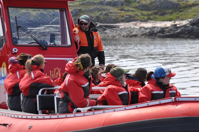 Zodiac Boat Whale and Wildlife 6-Hour Tour from Campbell River - Who This Tour Suits Best (and Who Might Feel It Less)