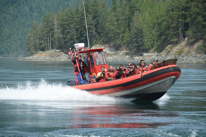 Zodiac Boat Whale and Wildlife 7-8-Hour Tour from Campbell River - The pace of the day: how the 9:30 am start plays out