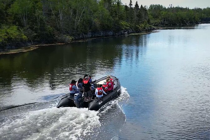 Zodiac Coastal Tour with Naturalist Guide: Lunenburg - Key highlights to know before you go